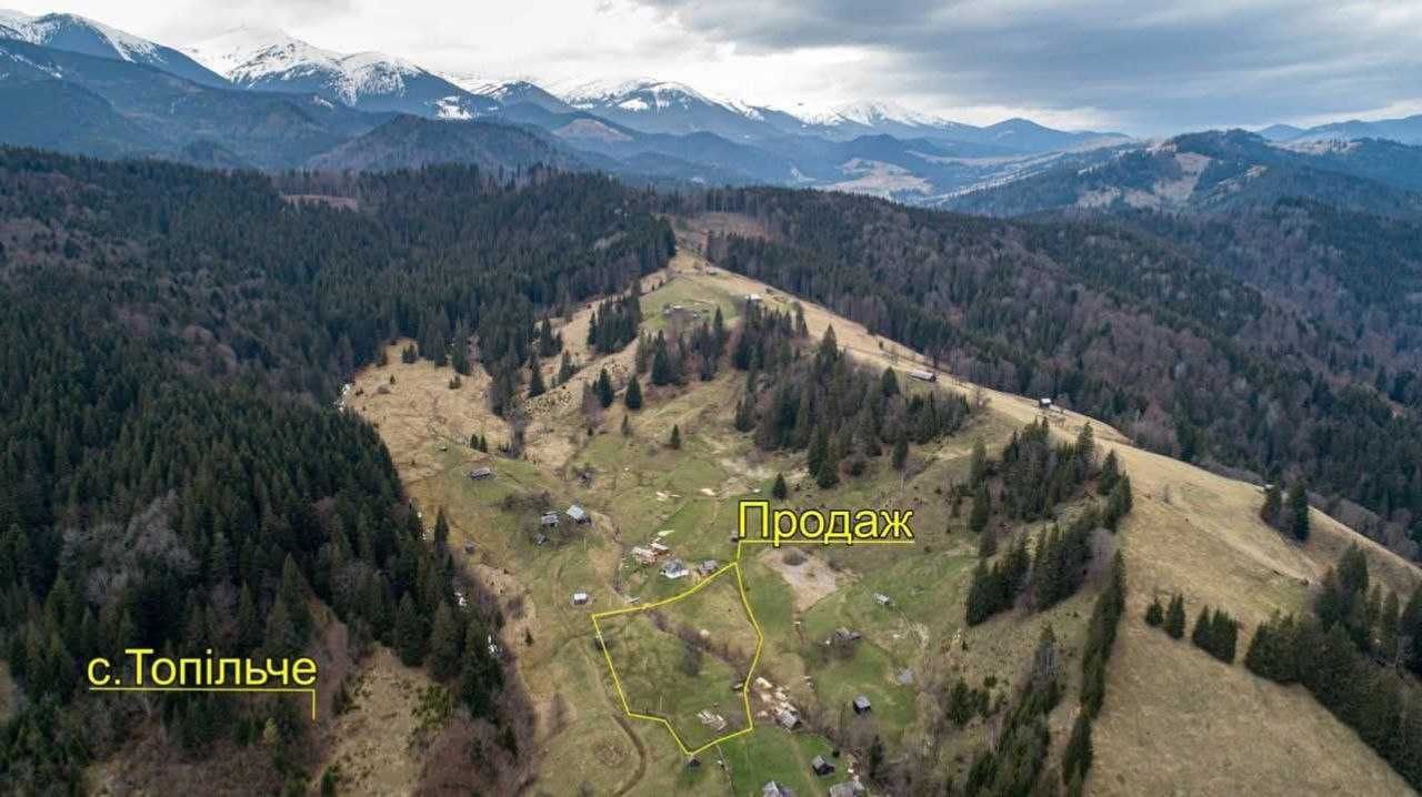 Продаж земельної ділянки в с. Топільче поблизу смт. Верховина.