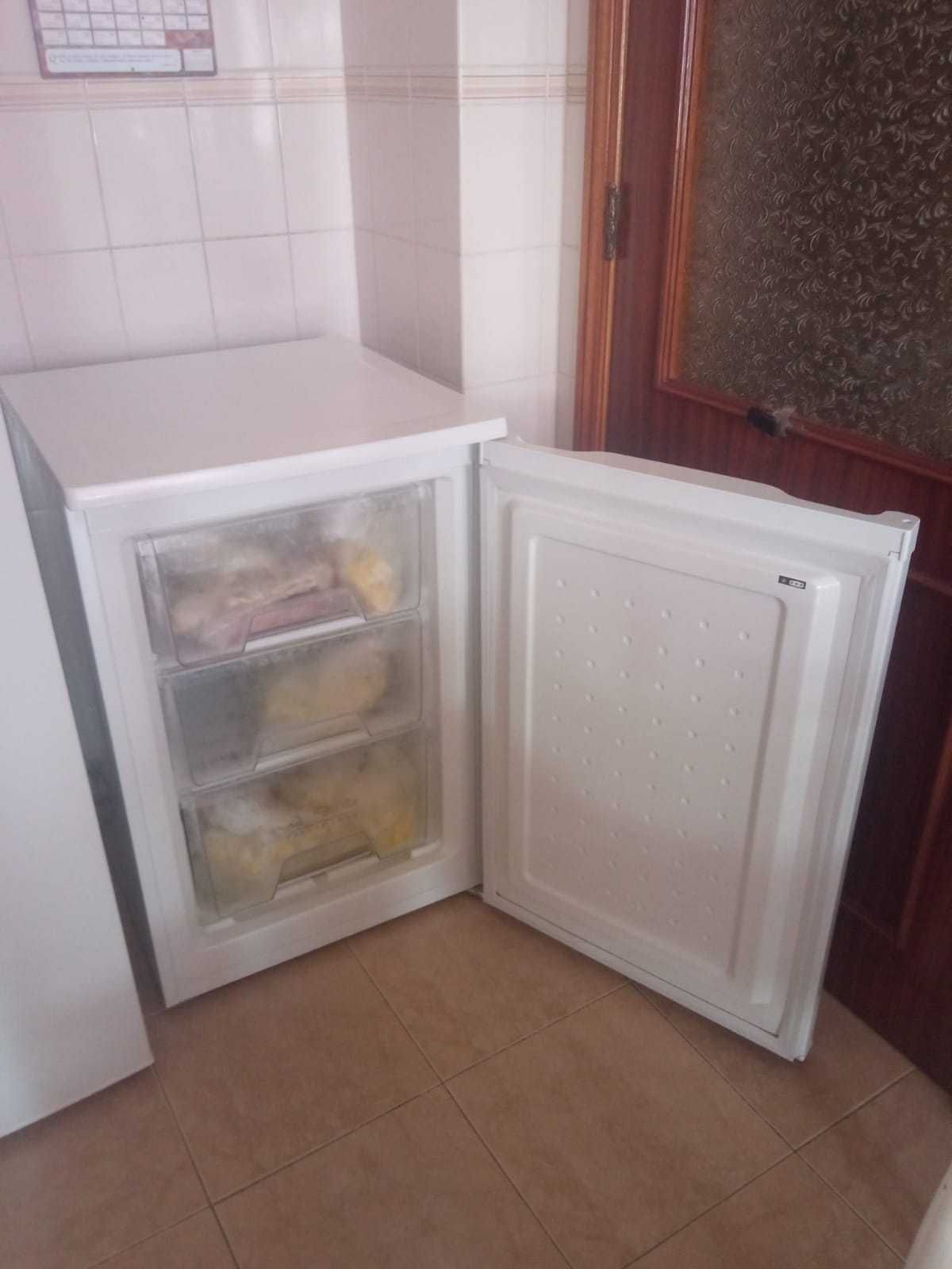 ARCA frigorífica com gavetas