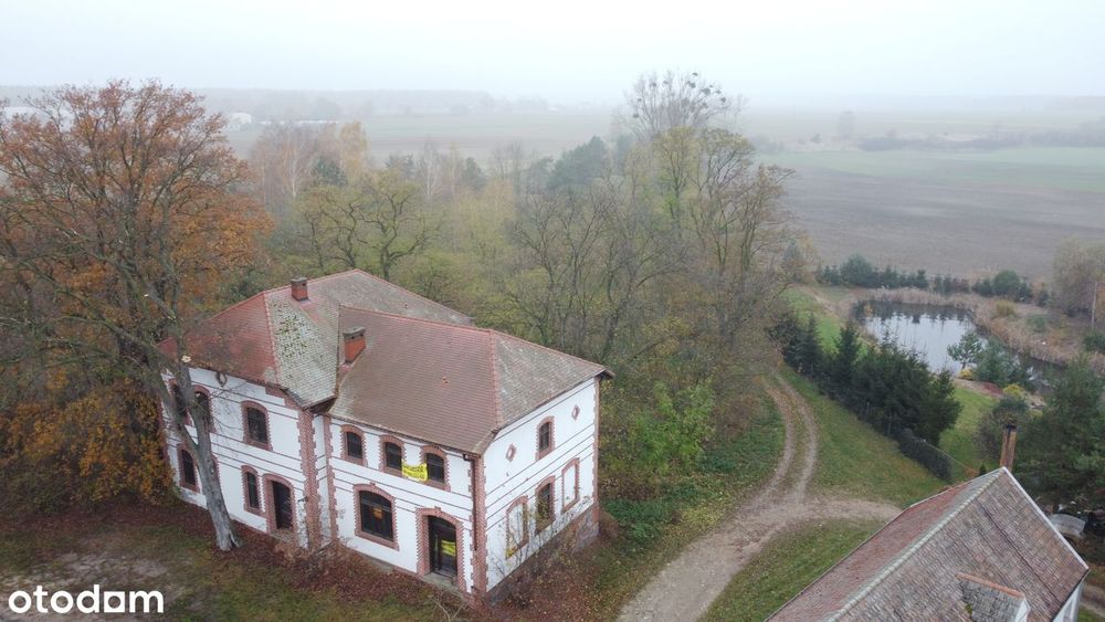 OdrestaurowanyDOMzKlimatemK.Pleszewa -Kalisz ok.19 km-grunt 1,6 HA !!!