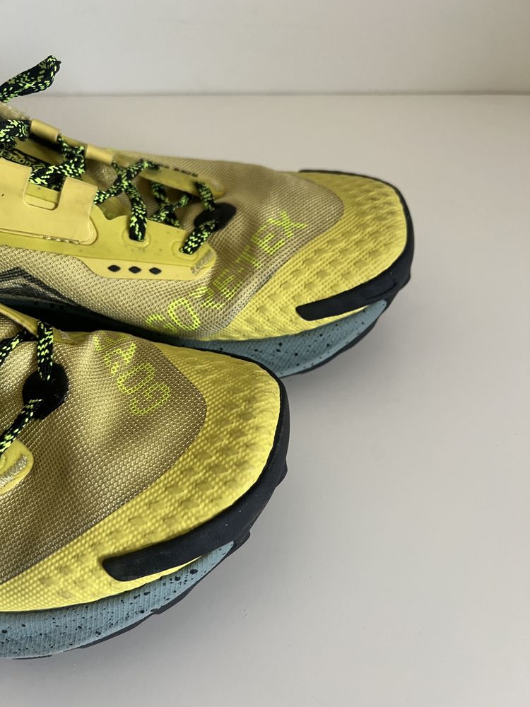 Sapatilhas Nike pegasus trail e gtx trail
