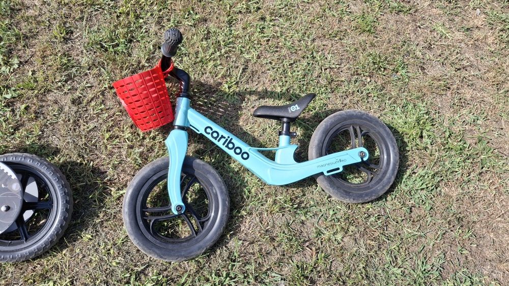 Cariboo Magnesium Pro