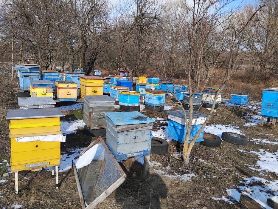 Продам рамки и вощину