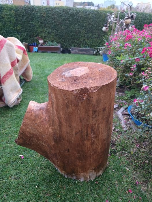 Pień z drewna bardzo duży.