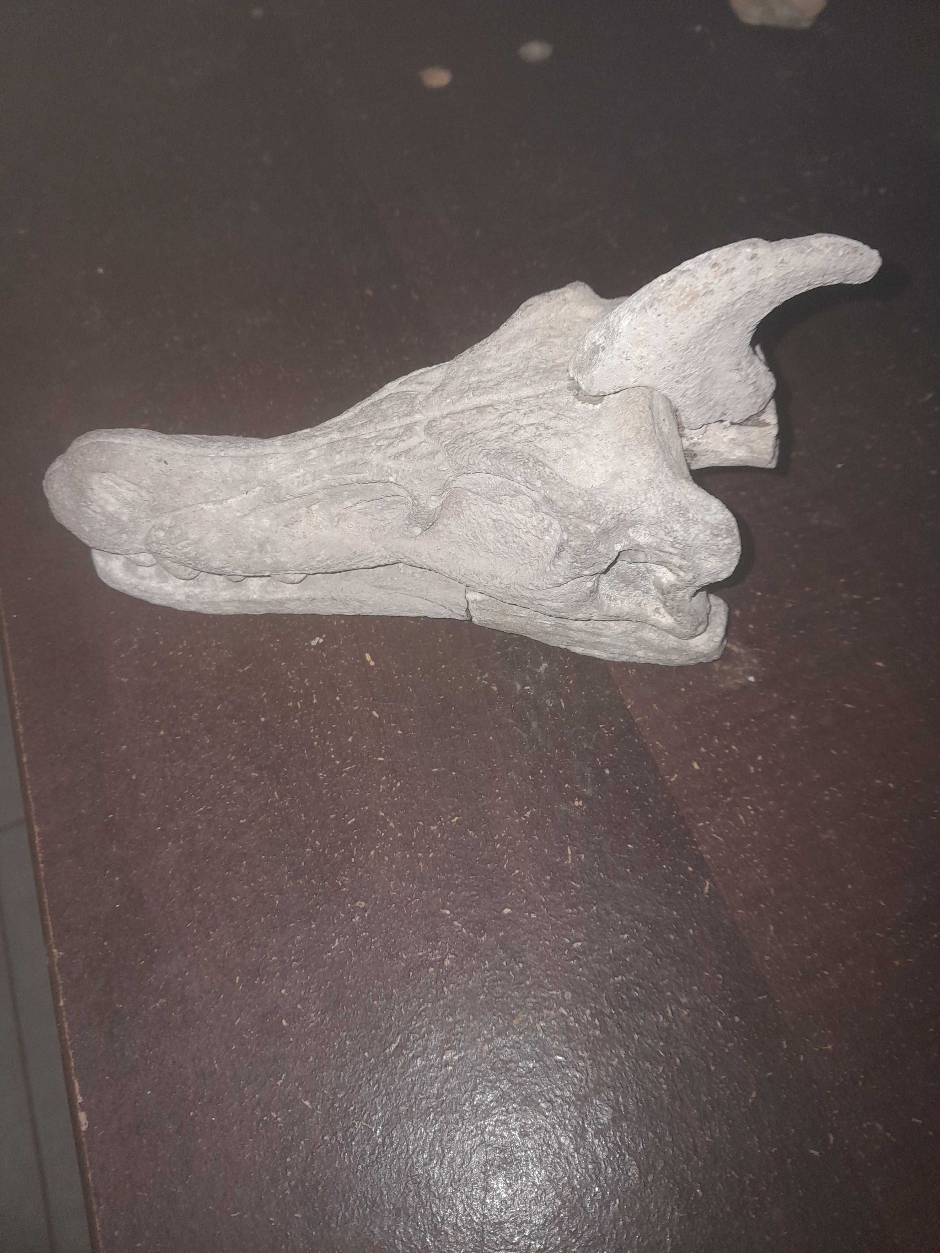 Fóssil de animal prestórico