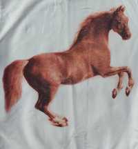 Bluza z koniem obraz Whistlejacket Stubbs dla jeźdźca do stajni