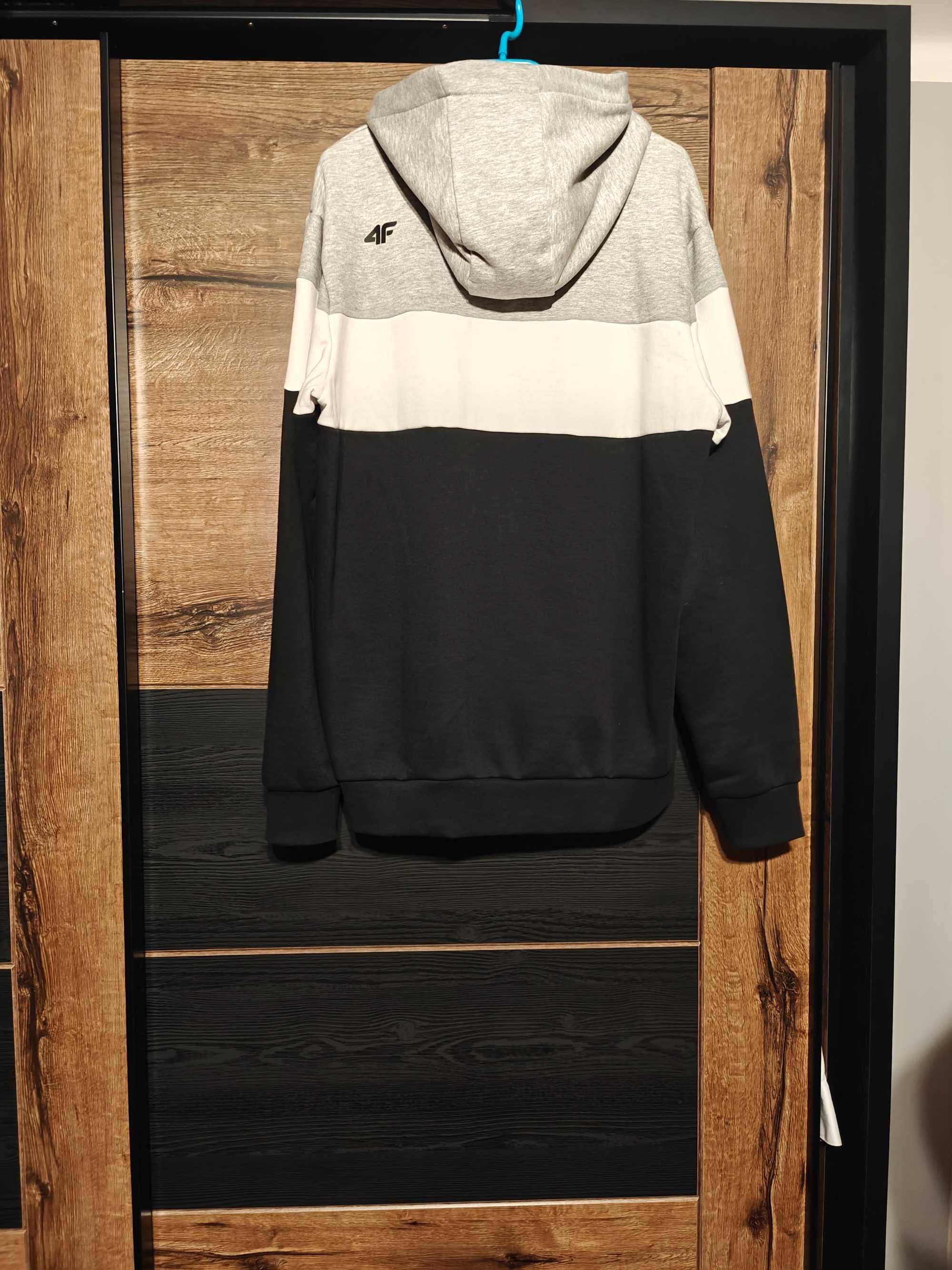 Bluza męska 4f z kapturem