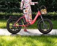 Bicicleta Engwe L20