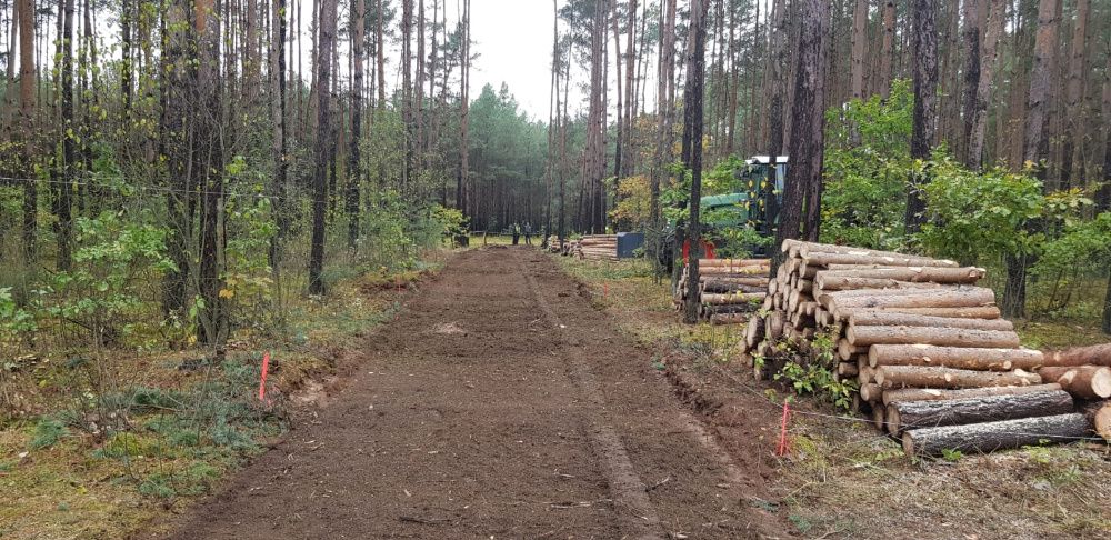 Mulczowanie Karczowanie Wycinka drzew Mulczer Leśny Czyszczenie PILAR