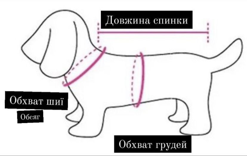 Комбинезон - дождевик для собаки