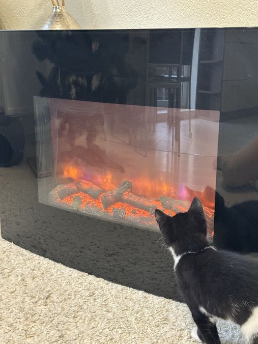 Камін в ідеальному стані. Ірпінь.