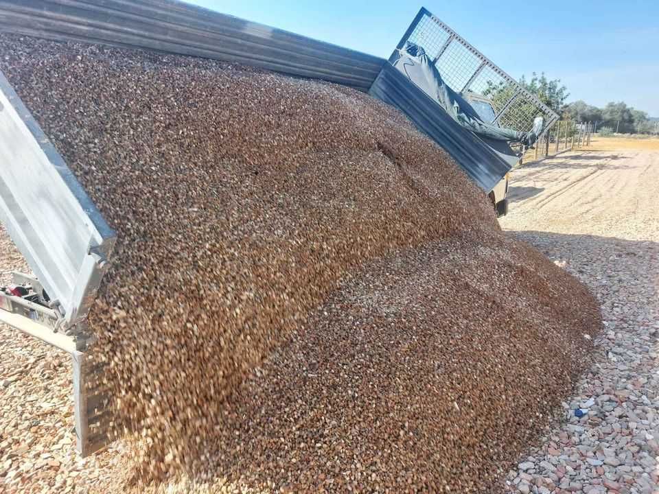 Trabalhos Prestados com Camião Para construção Civil