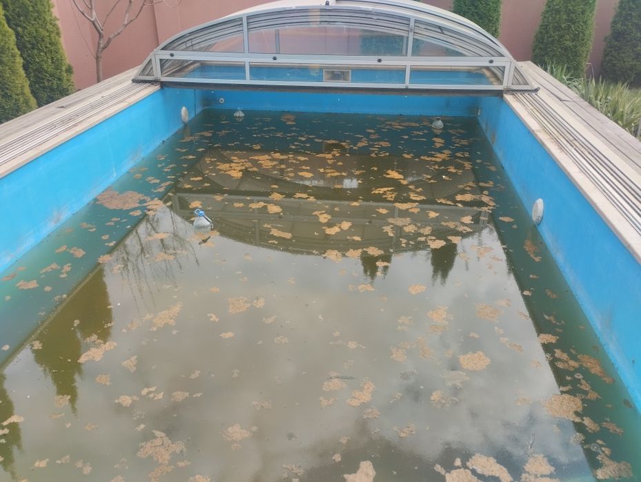 Консервация зазимовка обслуживания бассейннов консультации по бассейна