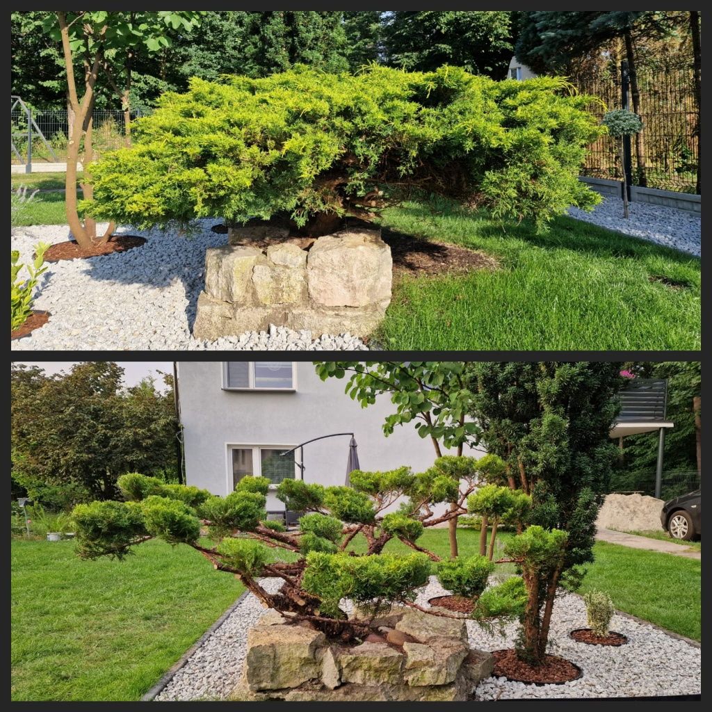 Ogrodnik, prace ogrodnicze, przycinanie drzew krzewów, koszenie trawy