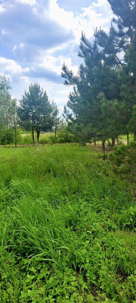 Działka z WZ - 10a Kędzierz tylko 6 km od Rynku w Dębicy
