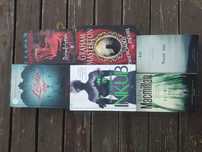 Książki, 6 horrorów, Masterton, Urbanowicz, Simmons