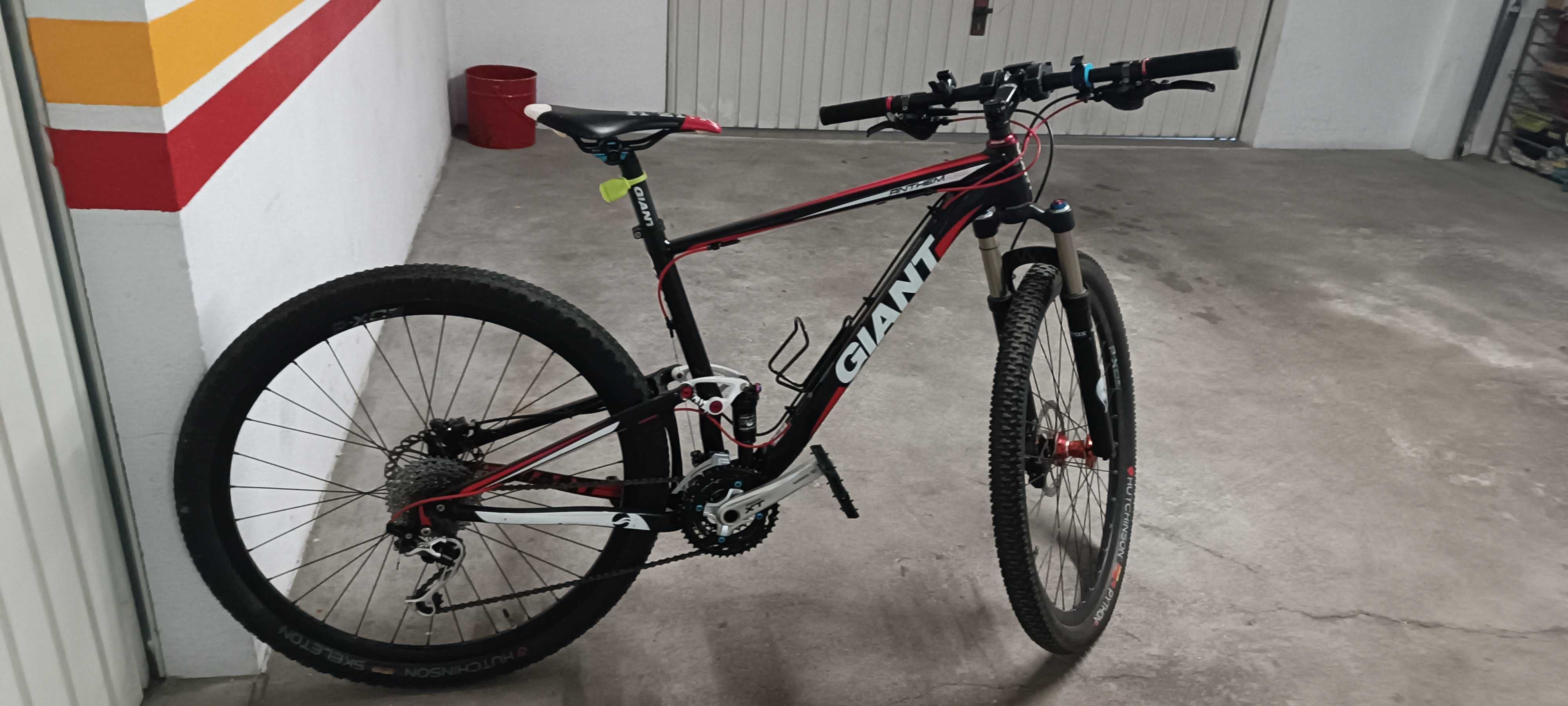 Giant Anthem X29, roda 29