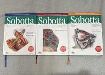 Atlas anatomiczy Sobotta 3 tomy mianownictwo angielskie