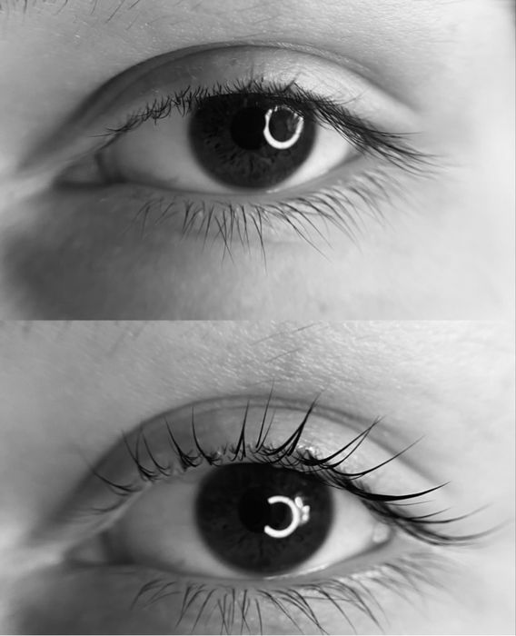 Запорожье лами ресничек