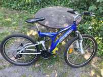 Rower Forester Raptor