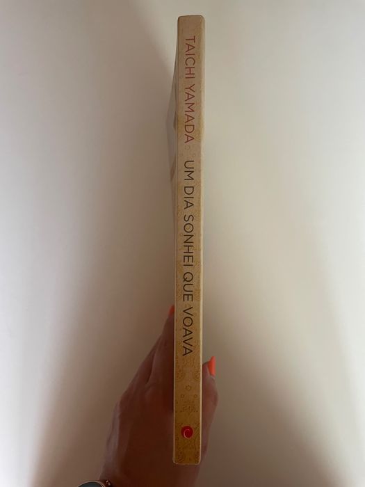 Livro Um dia sonhei que voava - Taichi Yamada