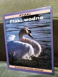 Książka "Ptaki wodne"