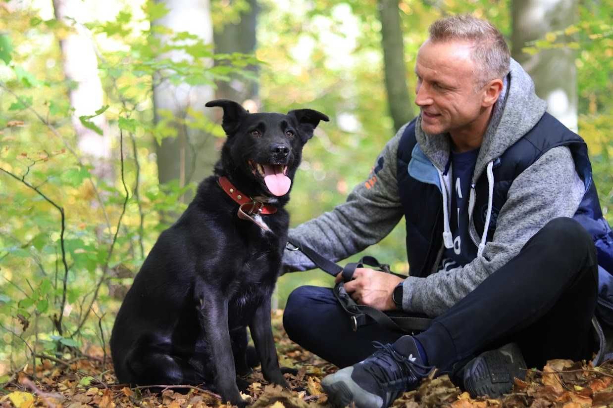 L-O-R-D - 4-letni, bardzo łagodny i  przyjazny. {FILMIKI}