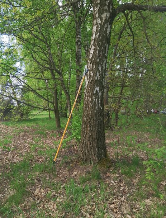 Sekator Teleskopowy Pila 2w1 Do Galezi Drzew 240cm Powermat