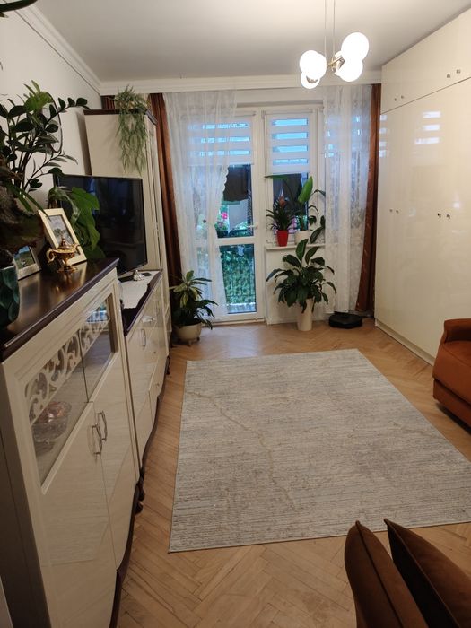 Wynajmę mieszkanie 2 pokoje 46m2 Nisko