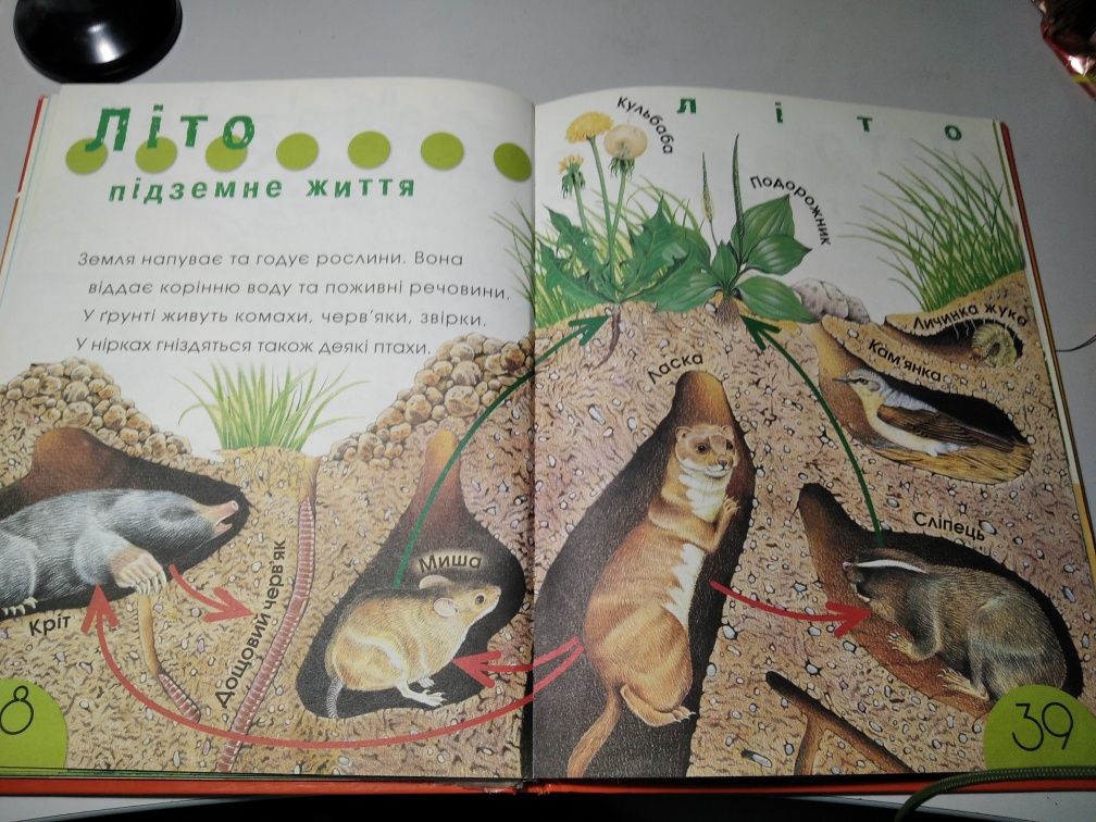 Книга "Енциклопедія природи для малюків"