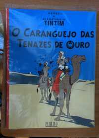 Tintim (coleção completa 18 livros)