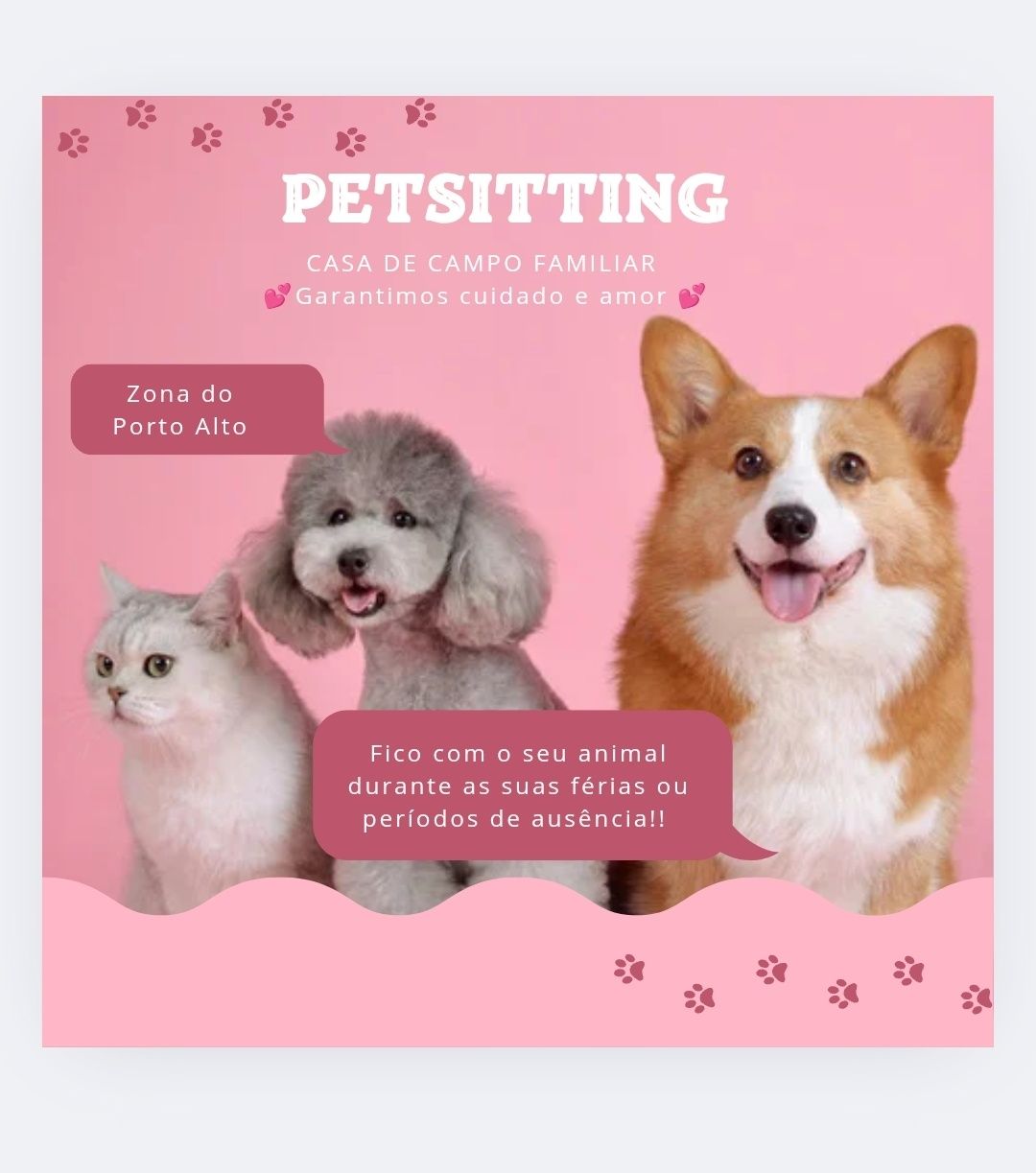 Serviço de Petssiting