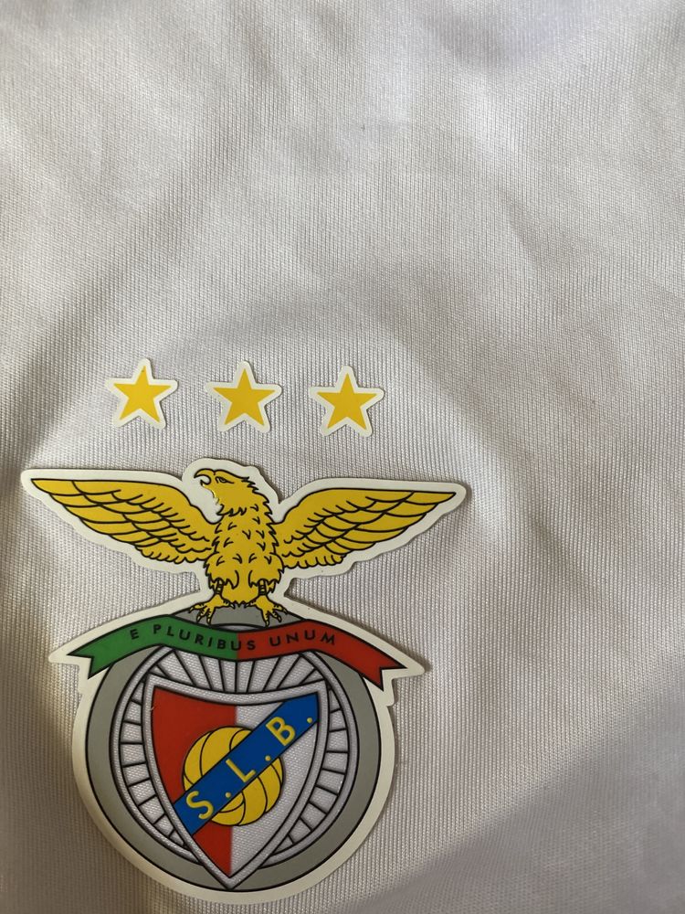 equipamento oficial benfica autografado