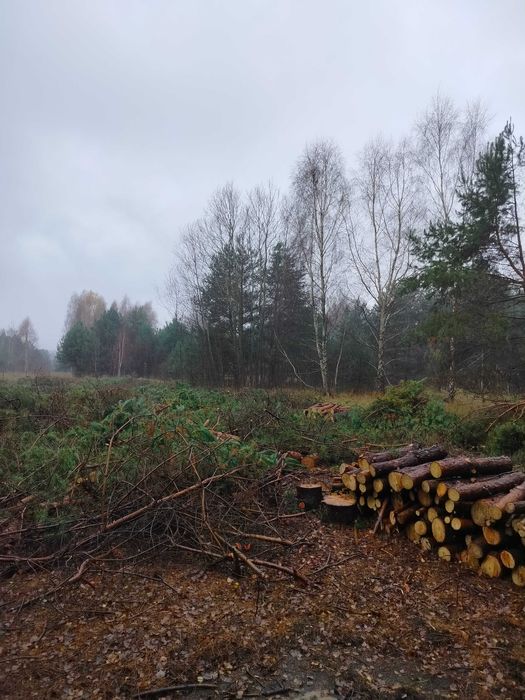 Sprzedam drewno opałowe sosnowe