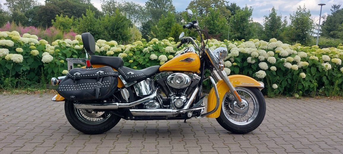 Harley Davidson Heritage Softail