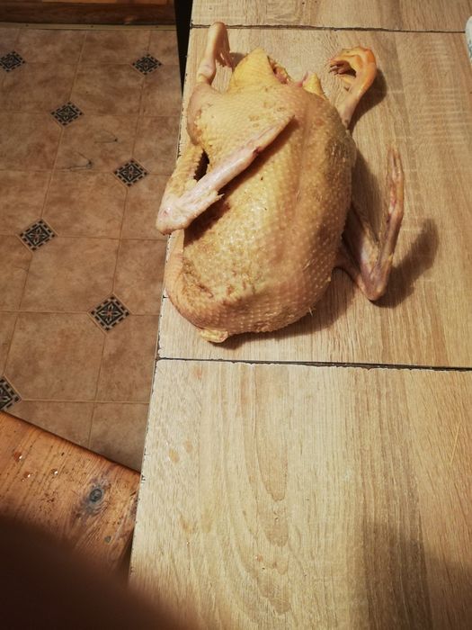 Kaczka wiejska świeża