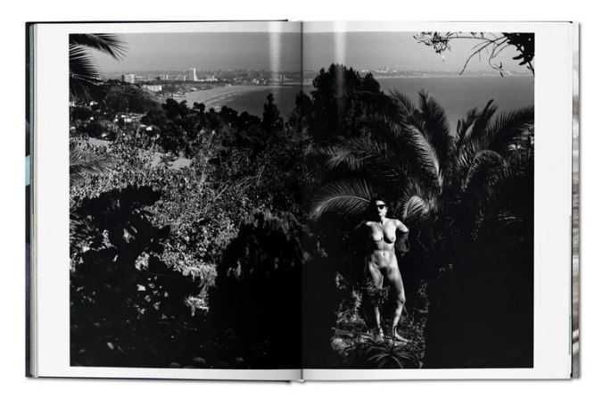 Книга - фотоальбом Sex & Landscapes. Helmut Newton.