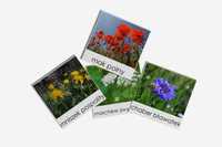 Kwiaty polne - karty trójdzielne Montessori - 30 kwiatów