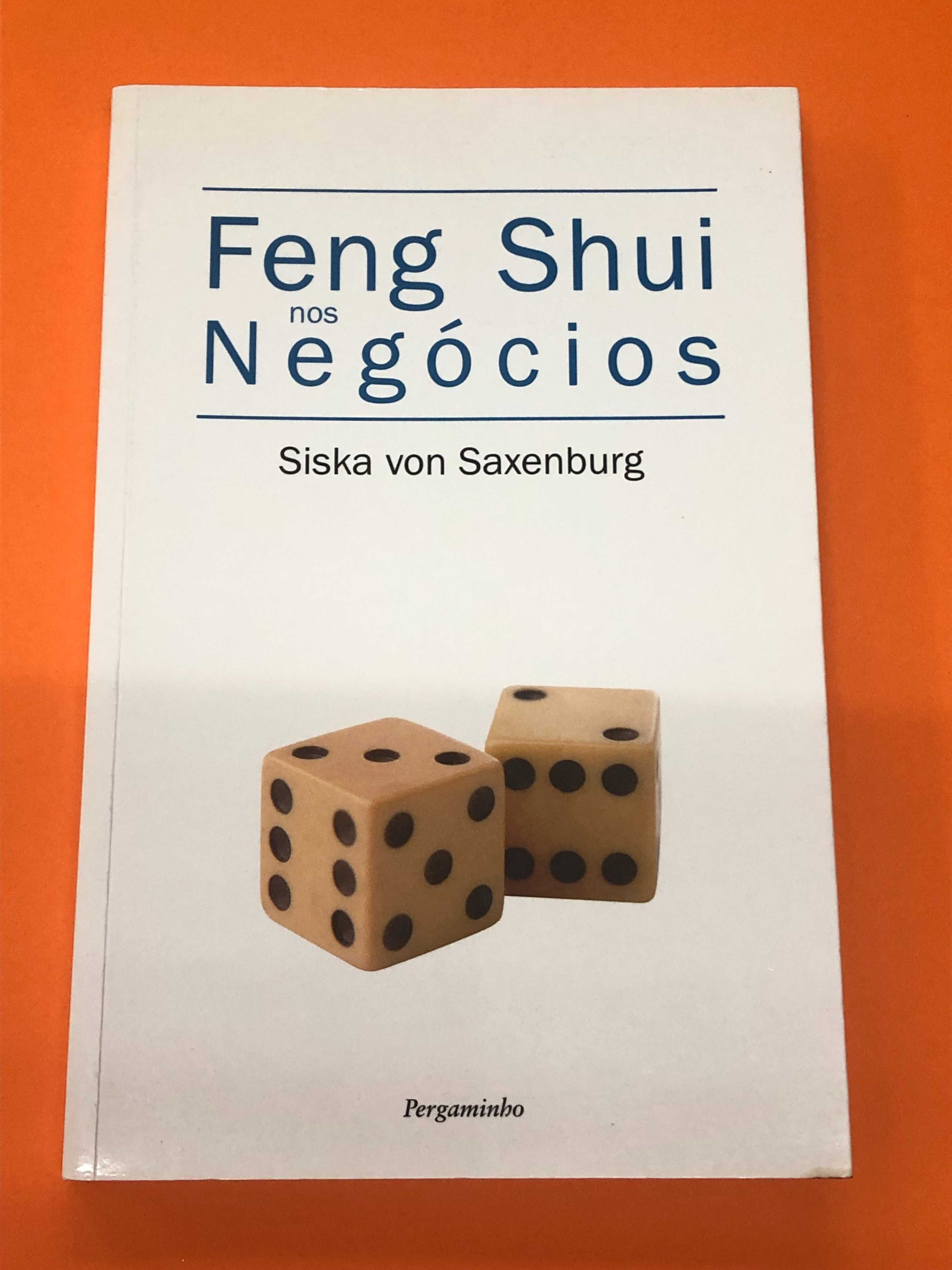 Feng Shui nos negócios - Siska von Saxenburg