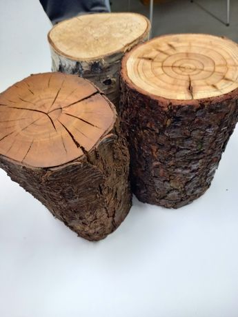 Ozdobne pieńki naturalne drewno