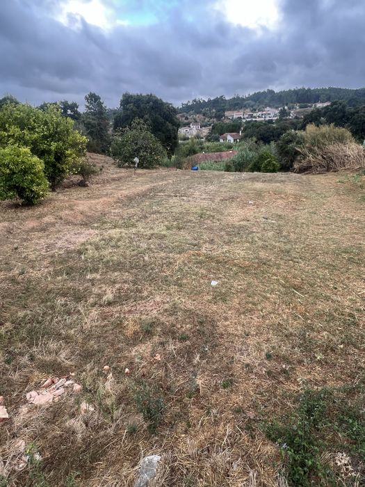 Vendo Terreno Espinheiro - Alcanena 1000m2