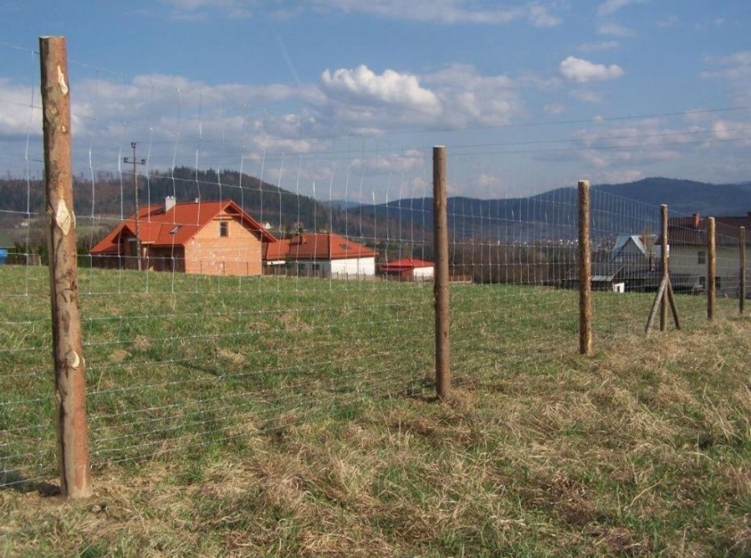 Ogrodzenie tymczasowe budowlane betonowe stemple siatka leśna wycinka