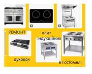 Ремонт Духовок, Індукційних плит, іншої побутової техніки Гостомель
