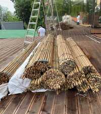 ⋙ Бамбукові опори, стовбури, для підв'язки рослин, помідор, дерев