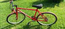 Bicicleta Adulto