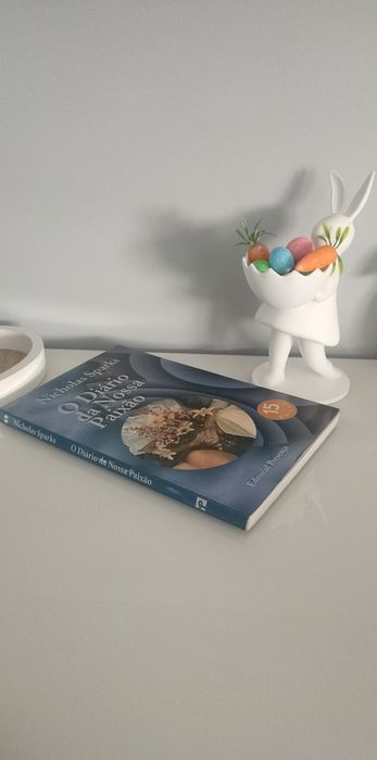 Livro "O diário da nossa paixão" - Nicholas Sparks