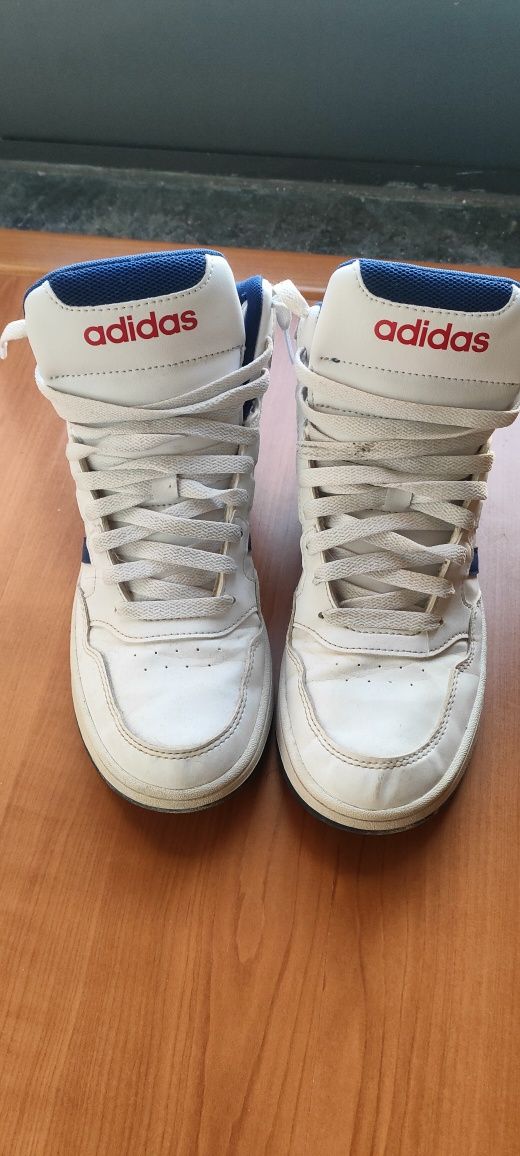 Adidas Hoops Mid Sheoes