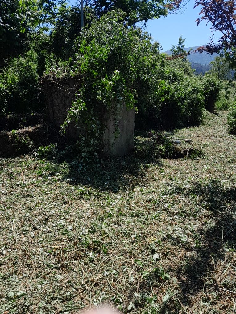 Limpeza de terrenos