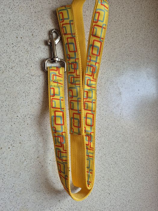 Nowa smycz dla pieska