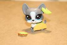 LPS Littlest Pet Shop Corgi Taco szary