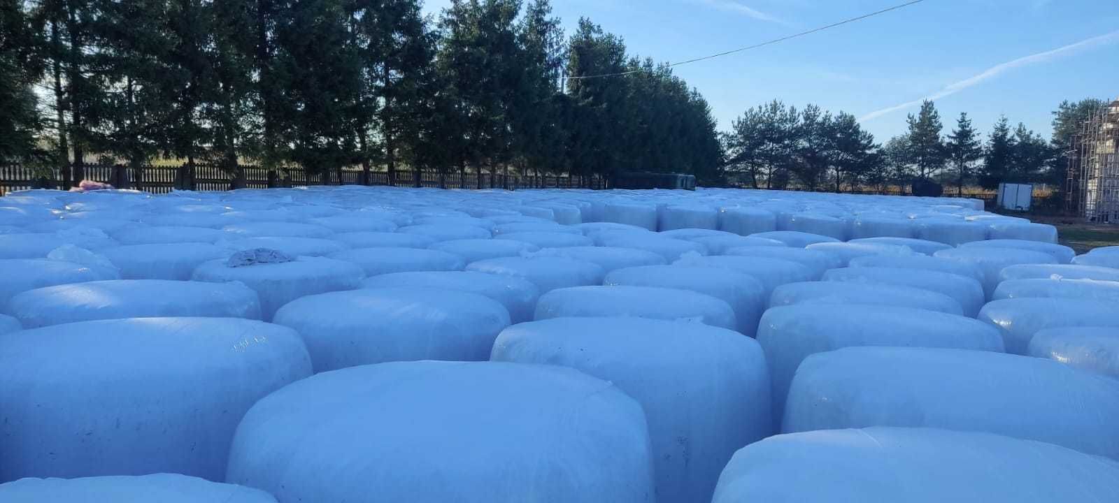 Sianokiszonka z żyta w belach Możliwość dostawy